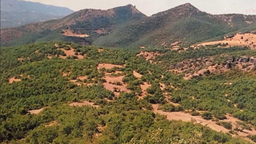 Tunceli'de katı atık tesisi yapımı için 55 bin ağacın kesilmesi planlandı