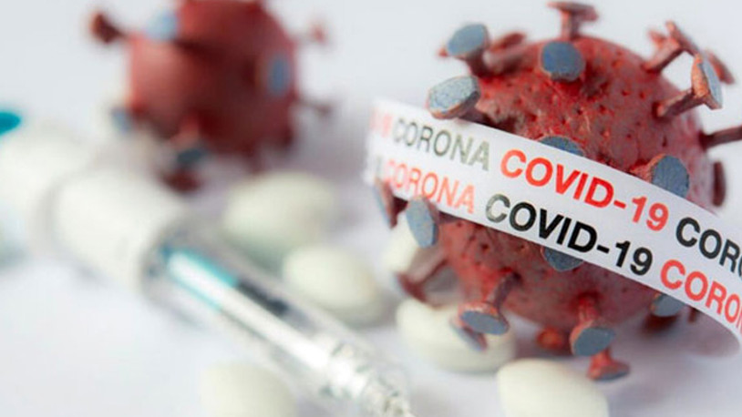 Bir araştırma Covid-19'u insana bulaştırma riski olan hayvanı açığa çıkardı