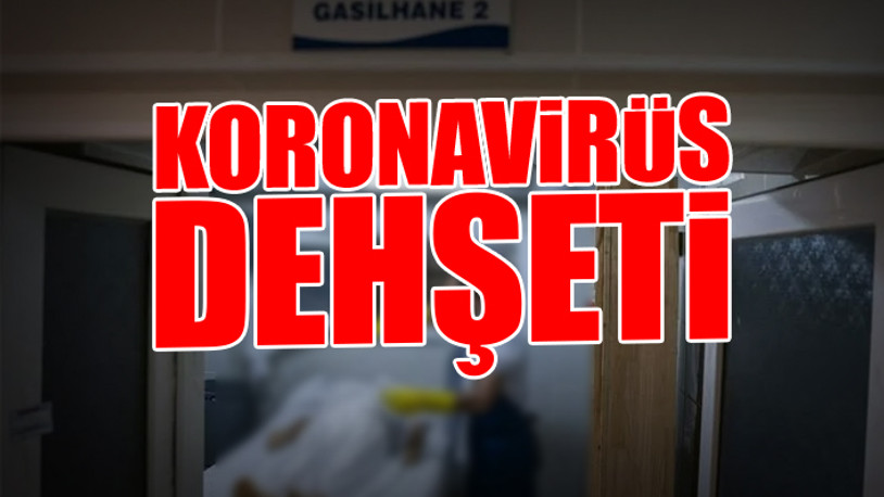 Gassallardan tüyler ürperten açıklama: Hiç bu kadar çok ölü görmemiştim