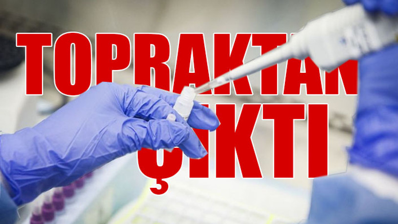 Koronavirüsün laboratuvardan sızdığına dair iddiaları güçlendirecek keşif