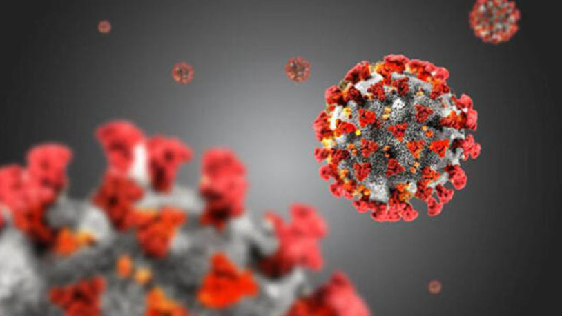 Yeni varyant için endişe veren araştırma: Ölüm oranı patlayabilir