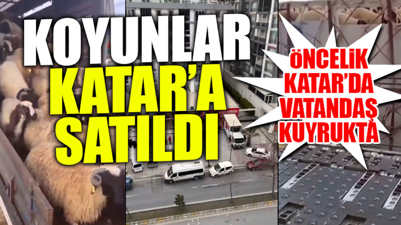 CHP'li Karabat ete gelen dev zamların nedenini ortaya çıkardı