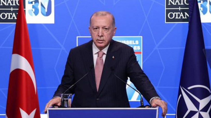 Erdoğan Türkiye'ye gelen Ukraynalı mülteci sayısını açıkladı