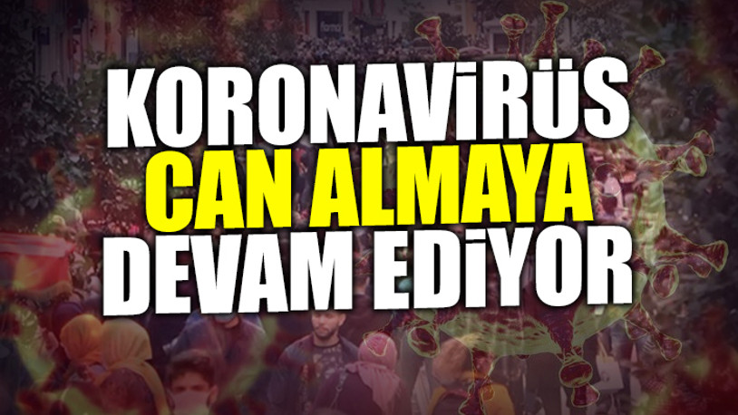 Günlük koronavirüs vaka tablosu açıklandı