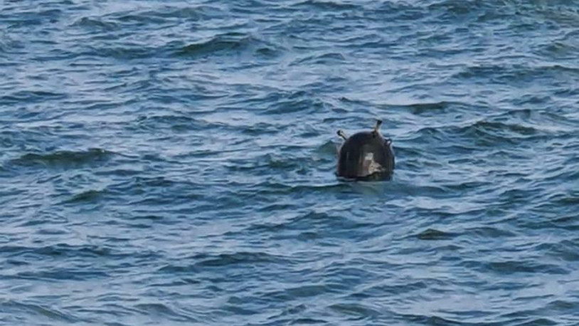 Tarım Bakanlığı açıkladı: Balıkçılık faaliyetlerine 'mayın' engeli