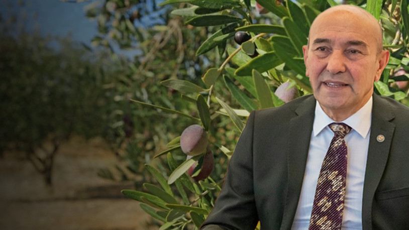 Tunç Soyer açıkladı: Zeytinlikleri maden sahasına açan yönetmeliğe dava