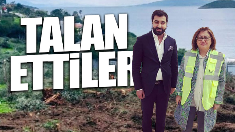 Türkiye'nin en değerli arazisini satın alan iki aylık şirket bakın kime yakın çıktı? 