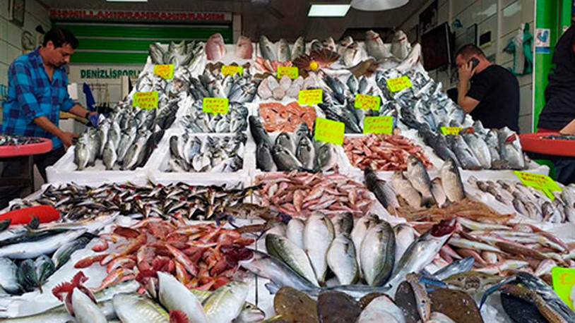 Uskumruya benzerliğiyle biliniyor: Gören alıyor