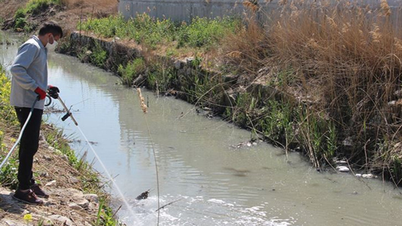 DSÖ'den korkutan uyarı: Yeni pandemiye neden olabilir 