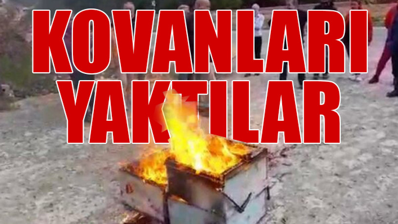 İkizdere isyanda: Aylardır direniyoruz ama sesimizi duyuramadık arılarımız yok olacak