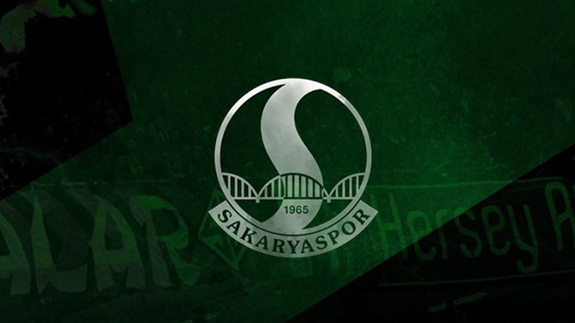 Sakaryaspor, Spor Toto 1. Lig'e yükseldi