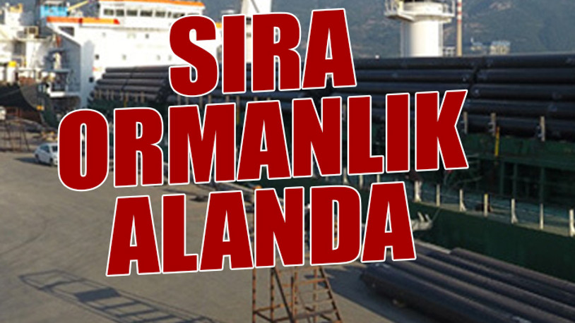 Tosyalı Holding Hatay'da durmadan genişliyor