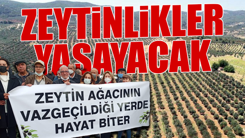 Yasaya aykırı yönetmeliğe Danıştay 'dur' dedi