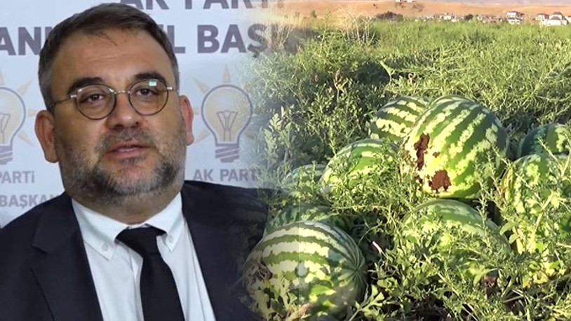 AKP'li Yılmazer'den vatandaşa 'yok artık' dedirten yanıt: Her sene karpuz ekiyorum