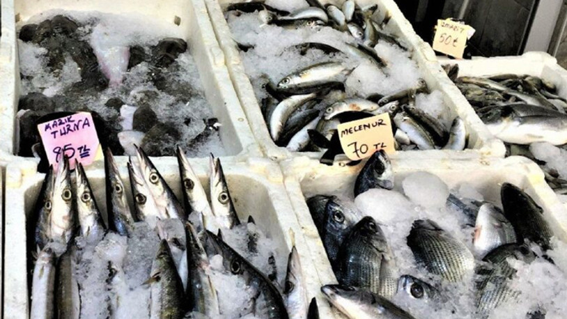 Balık fiyatları el yakıyor 