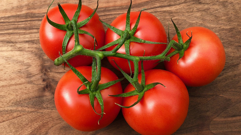 "Domatesin fiyatı iki kat artacak"