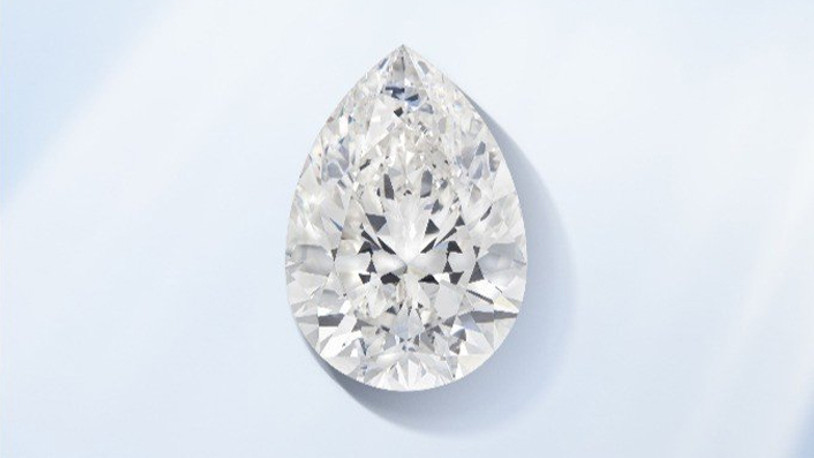 Dünyanın en büyük beyaz elması satıldı: Fiyatı dudak uçuklattı