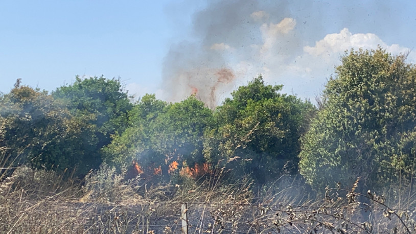 Fethiye'de otluk alanda yangın 