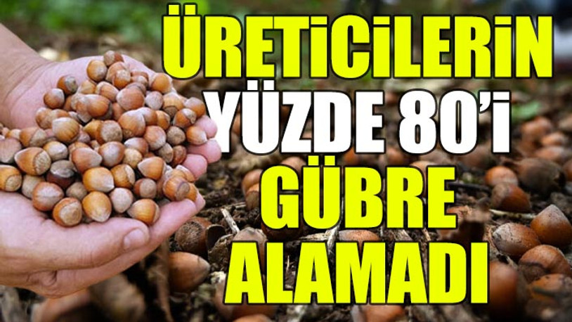 Fındık üretiminde kriz