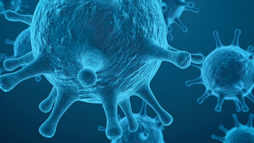 İngiltere'de maymun çiçeği vakaları 179'a yükseldi