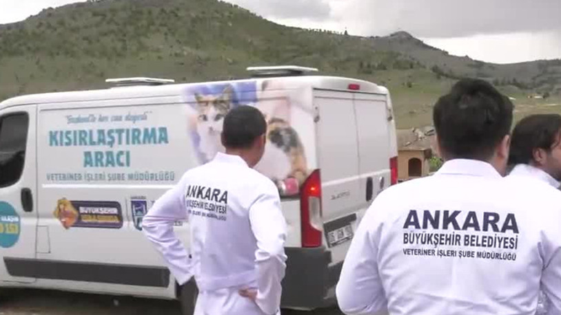 Mansur Yavaş duyurdu: Ankara'da sokak hayvanları için kısırlaştırma seferberliği