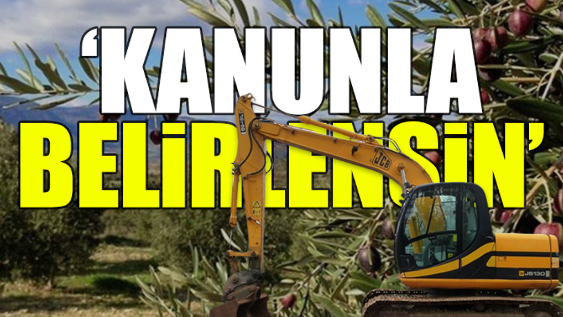 TEMA Vakfı, madencilik faaliyetlerinin kısıtlanması için öneri sundu