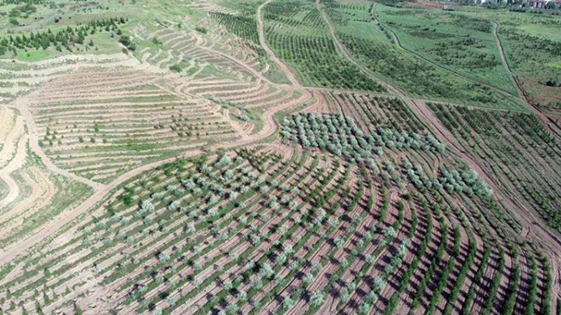 Atatürk Orman Çiftliği'ne hizmet binası yapılmasının önünü açan imar planına ret
