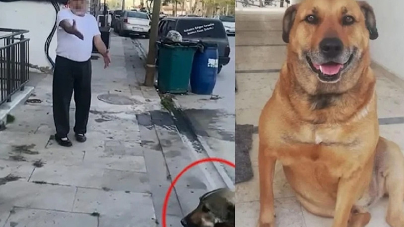 Daha önce tehdit ettiği komşusunun köpeğini öldürdü