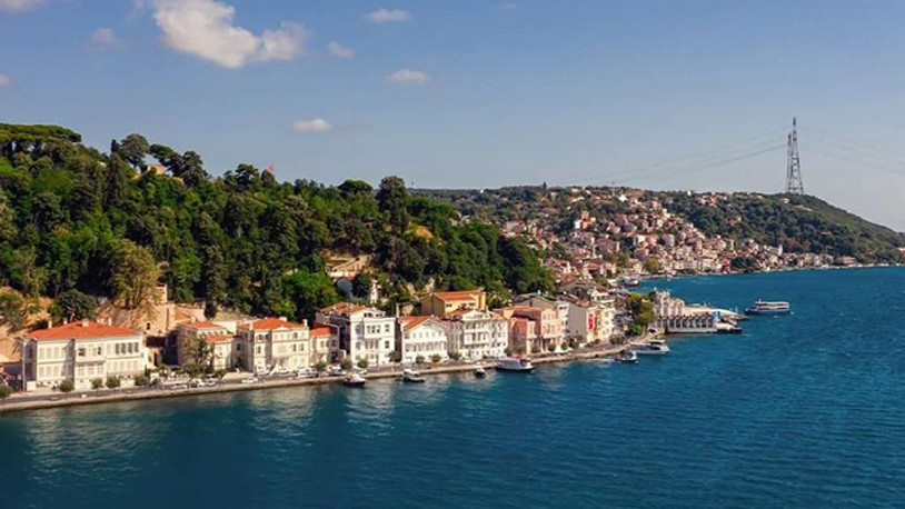 Katar'lı iş insanı boğaz kenarındaki ağaçları talan etti