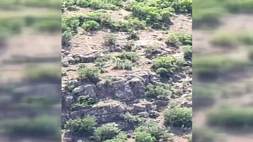 Korkunç iddia: Altın madeninde boru patladı, siyanür dereye boşaldı