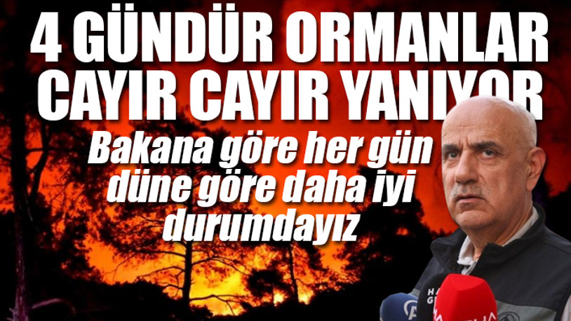 Marmaris'teki orman yangınında bir kişi tutuklandı