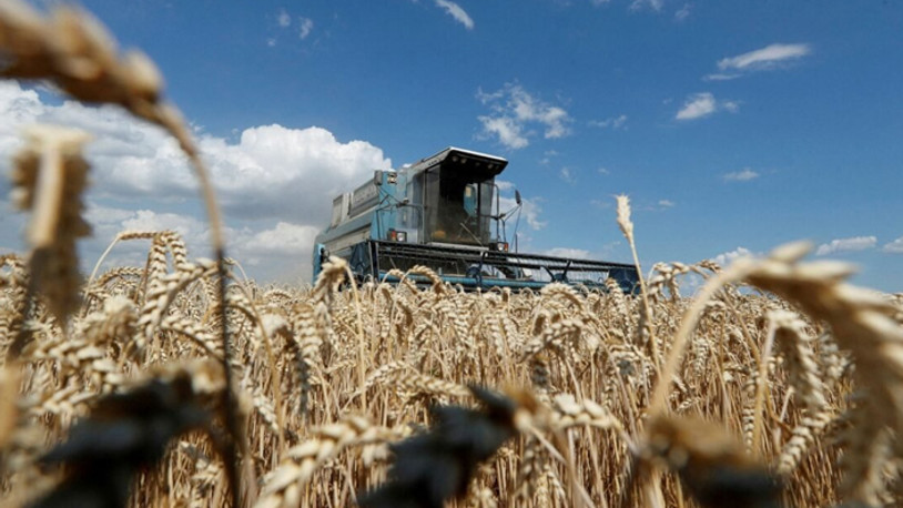 Ukrayna, ekilebilir tarım alanlarının yüzde 25'ini kaybetti