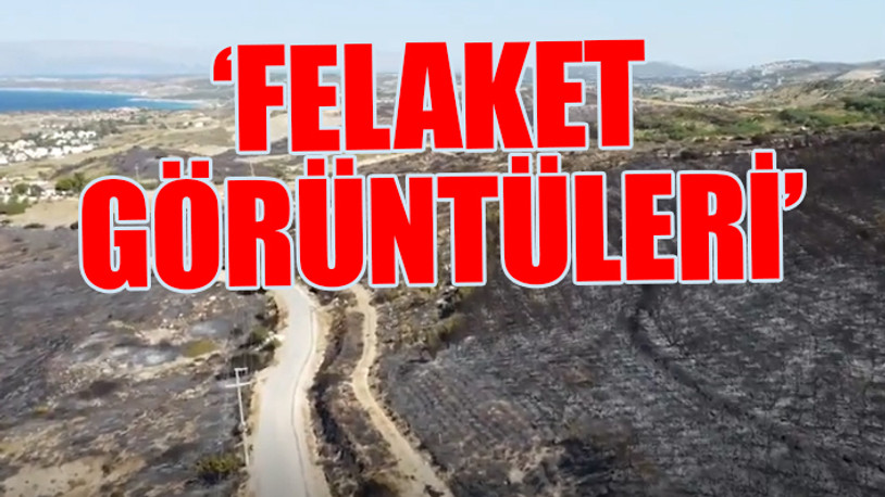 Çeşme'deki yangının kara tablosu yürek dağladı