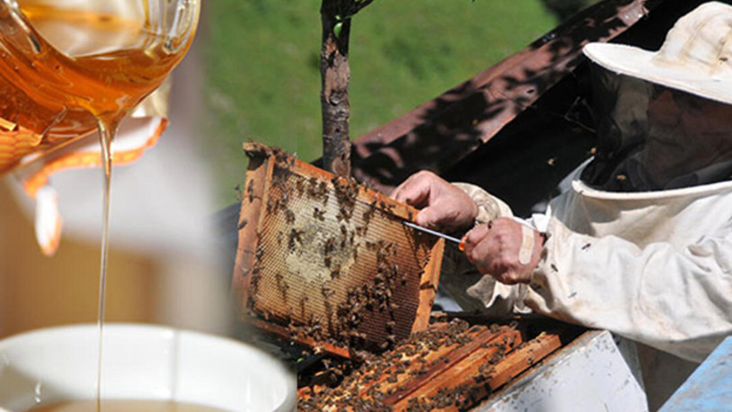 Coğrafi işaretine kavuşan Anzer balının kilogram fiyatı dudak uçuklatıyor