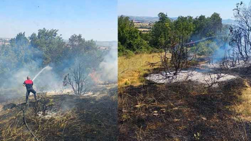 Edirne'de çıkan orman yangını, 4 saat sonra kontrol altına alındı