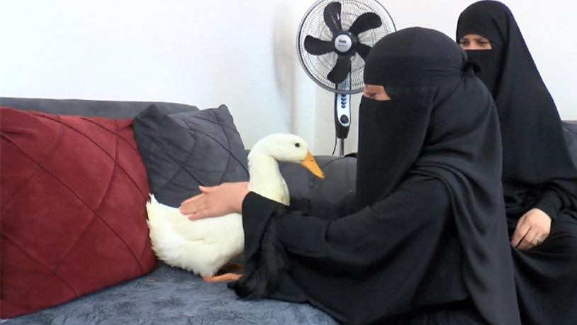 Göletteki ördekleri çaldığı iddia edilen kadın konuştu