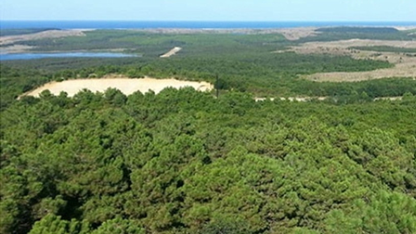 İstanbul Valisi Yerlikaya duyurdu: Ormanlık alanlara giriş yasağı