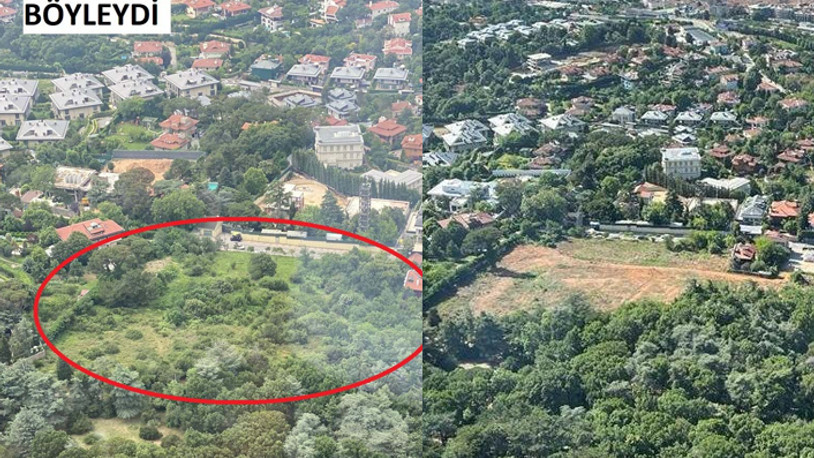 İstanbul’un göbeğinde tepki çeken 'traşlama' 