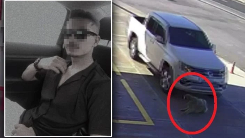 Köpeği ezmek için yolunu değiştirmişti: Serbest bırakıldı