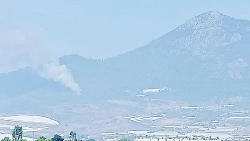 Mersin'de orman yangını