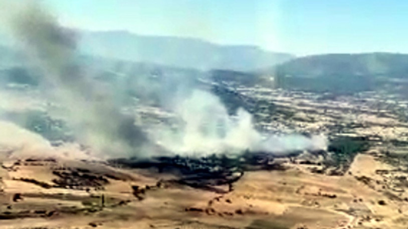 Milas’ta orman yangını