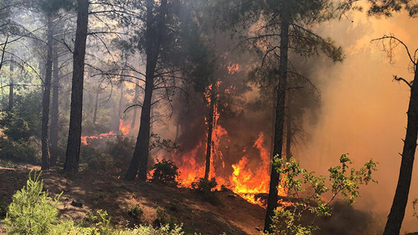 OGM'den kritik orman yangını uyarısı