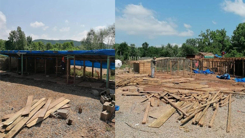 Selde 56 köpeğin ölümüne neden olan ruhsatsız barınak yıkıldı: Sahibi hakkında karar