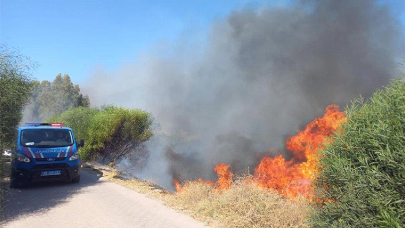 Sigara izmariti felakete yol açıyordu