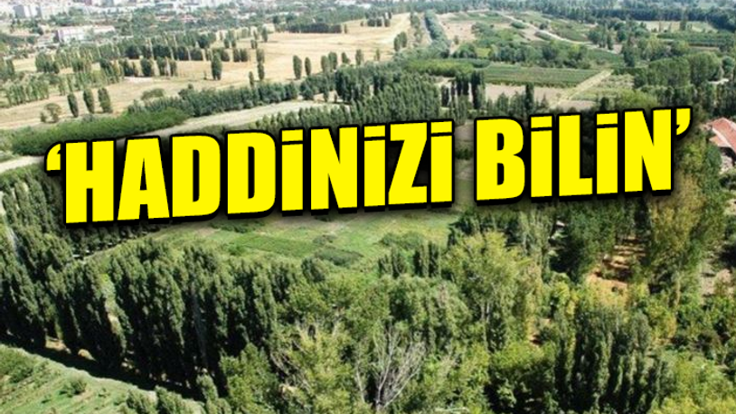 Gazeteci Uğuroğlu’ndan 'Atatürk Orman Çiftliği' arazisinin ihaleye açılmasına tepki