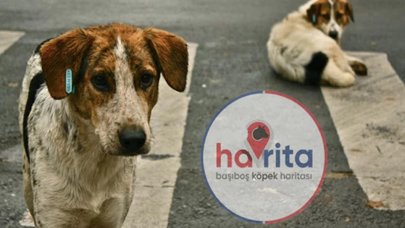 Havrita hakkında flaş gelişme