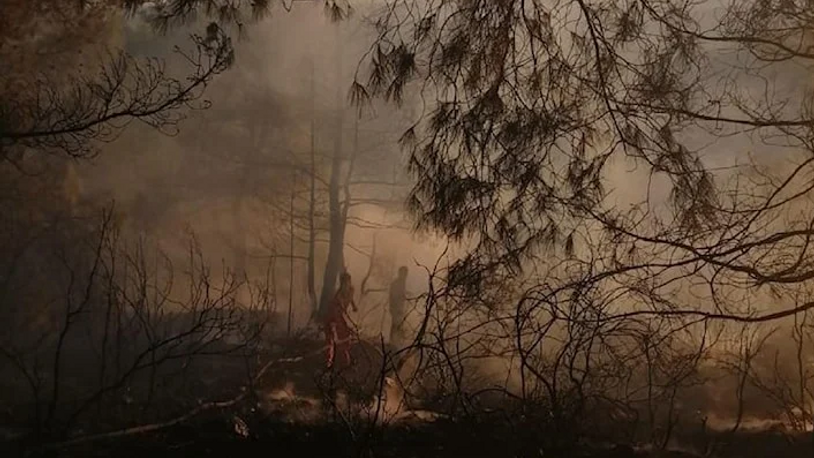 Antalya’da çıkan orman yangınında 5 dekar alan yandı