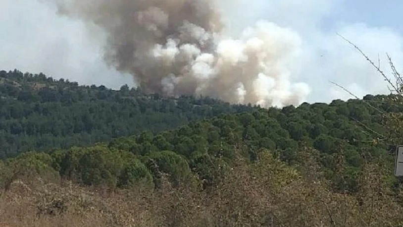 Balıkesir’de orman yangını çıktı