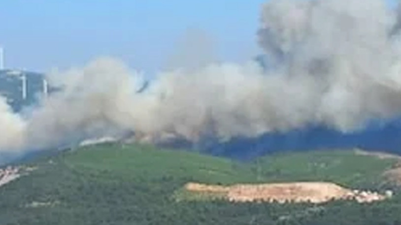 Manisa'da orman yangını: 2 mahalle tahliye edildi