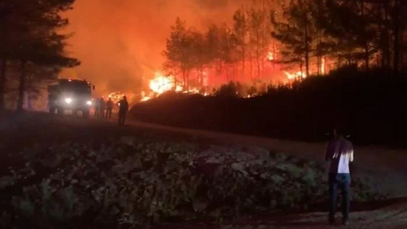 Marmaris'te çıkan yangın kontrol altına alındı